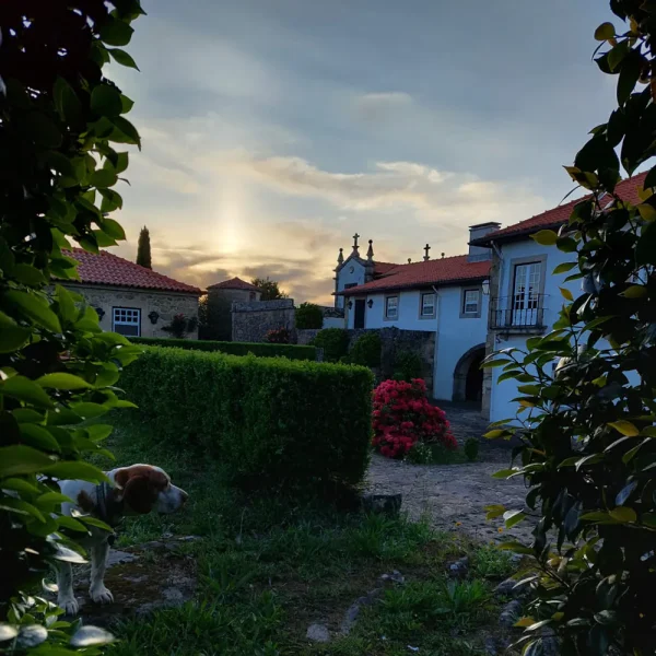 casa-alta-sobre-paisagem-1