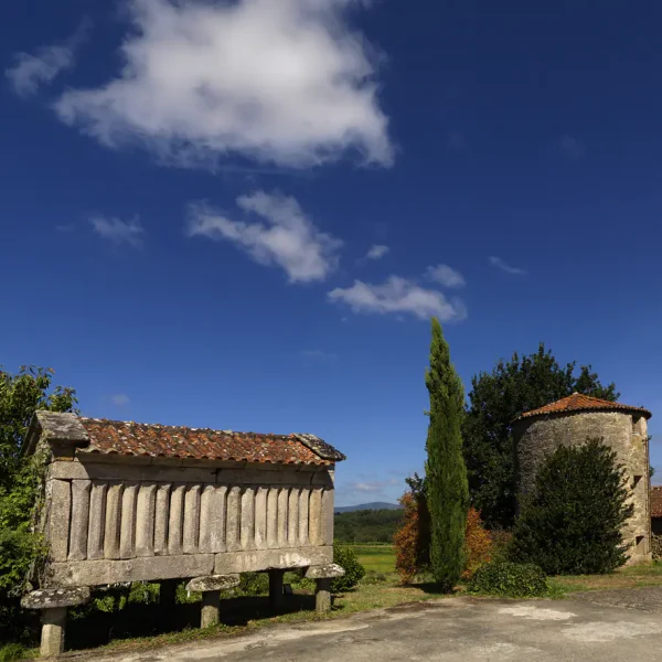 casa-alta-sobre-paisagem-3